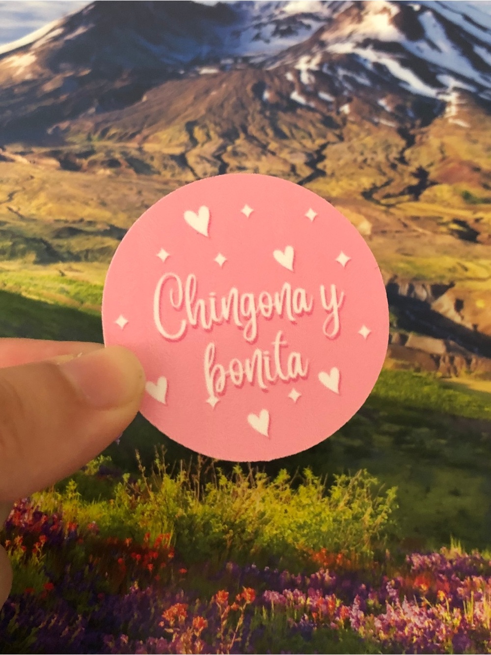 Chingona y bonita sticker
SKU409